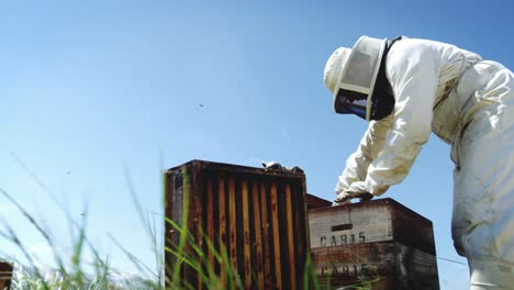 Imker-Arbeitet-Am-Bienenstock