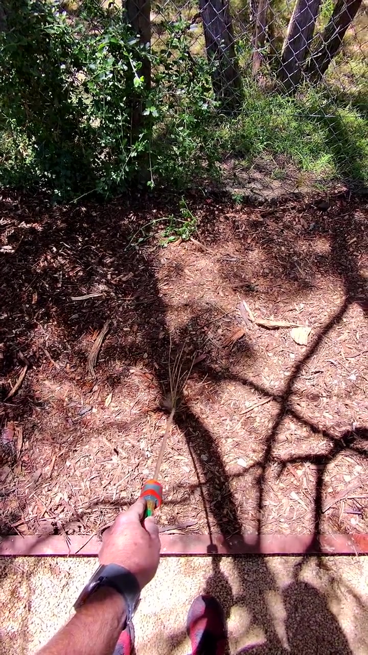 Point-of-view shot of man watering dry garden bed with hose, strong midday sunlight, slight movement