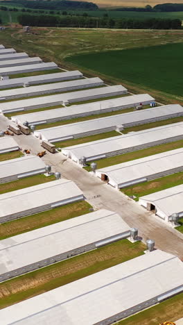 flying over the modern farm area in a sunny day. new agricultural buildings for livestock outdoors. aerial view. vertical video