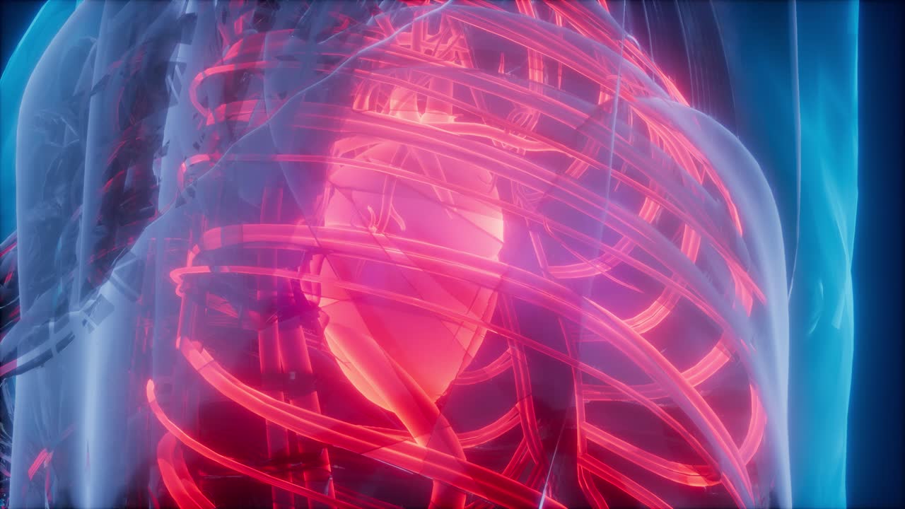 кровеносные сосуды человеческого тела