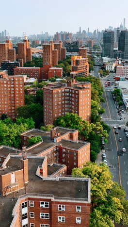 lots of trees growing among the residential houses. cityscape of new york. neighborhood with orange façade buildings. vertical video
