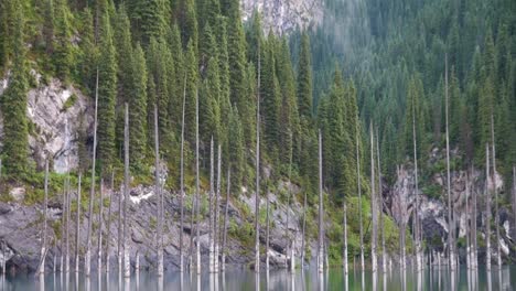 lago kaindy en kazajstán conocido también como lago de abedules o bosque submarino