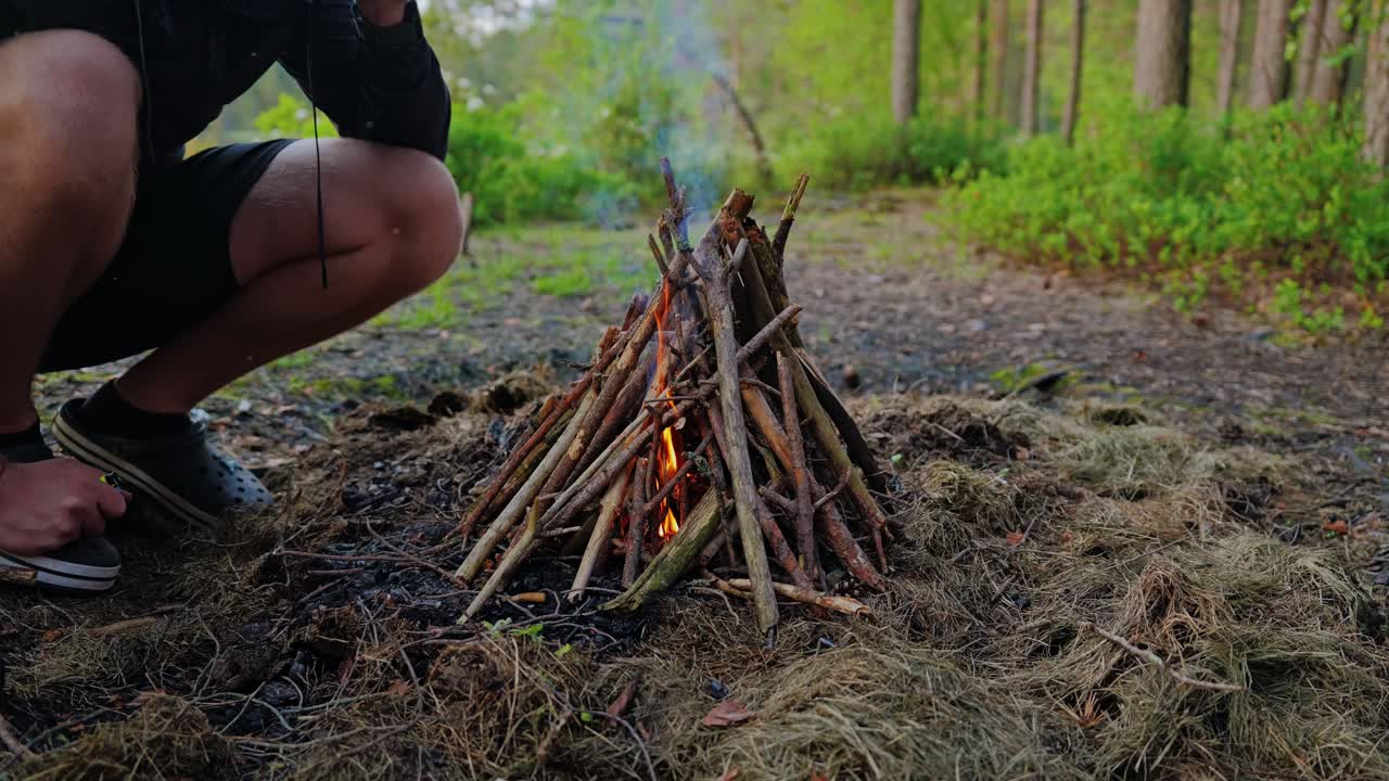 Man tending early campfire in pine swamp clearing during outdoor stay in Latvia