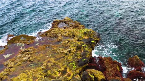 waves crashing towards the rugged coastline of a bay in terceira island, azores - aerial drone shot