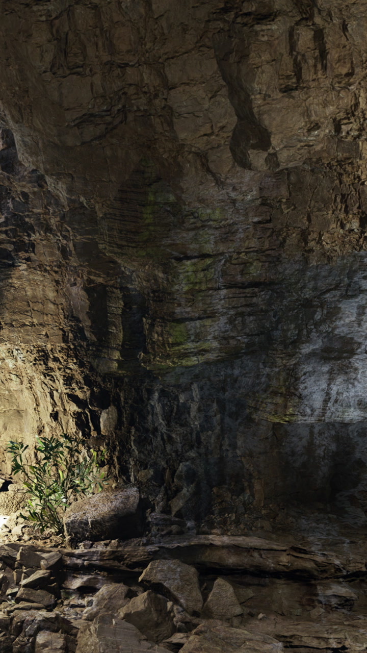 Exploring a cave with rocky walls and small plants near the ground