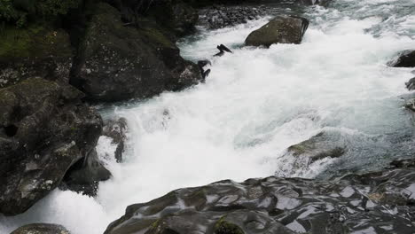 New-Zealand,-Glacial-fed-river-carving-its-way-through-surrounding-rocks