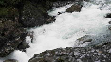 Nueva-Zelanda,-Río-Alimentado-Por-Glaciares-Tallando-Su-Camino-A-Través-De-Las-Rocas-Circundantes