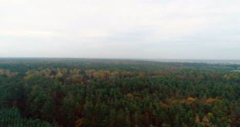 Volando-Sobre-Bosque-Forestal-Desde-Arriba-14