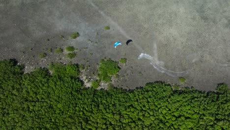 kiteboarding over mangrove forest