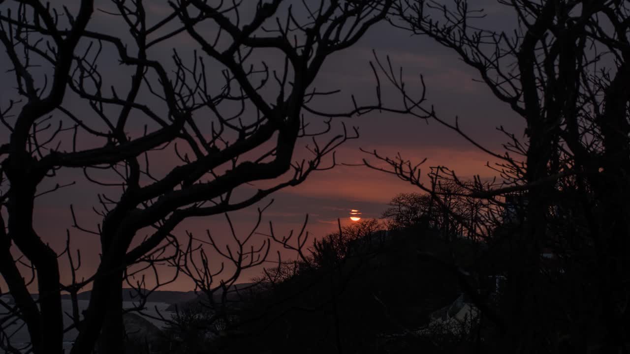 4K tidsforløp av solnedgang på en overskyet dag blant greiner