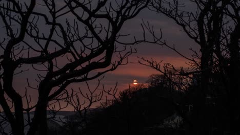 Lapso-De-Tiempo-De-4-K-De-Puesta-De-Sol-En-Un-Día-Nublado-Entre-Ramas