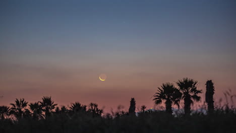 timelapse of the crescent moon rising in a pink sky with blue clouds over a landscape of palm trees