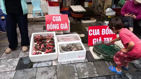 children exploring seafood at a market stall