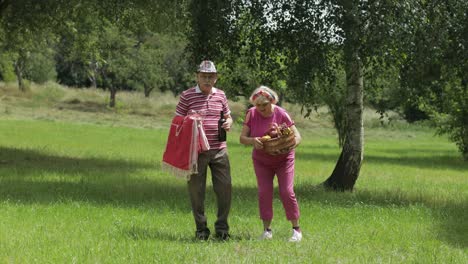 family weekend picnic. active senior old grandparents couple in park. husband and wife walk together