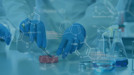 animación de la fórmula química y el procesamiento de datos sobre el científico caucásico haciendo un experimento