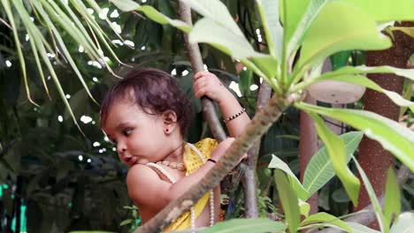 adorable infant dressed as hindu god krishna cute facial expression playing at tree at janmashtami