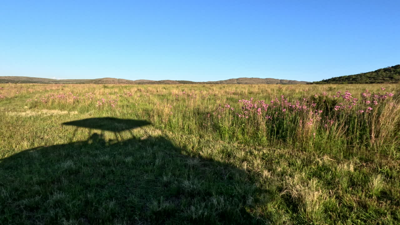 Safari vehicle shadow on an open field with green grass and a clear sky