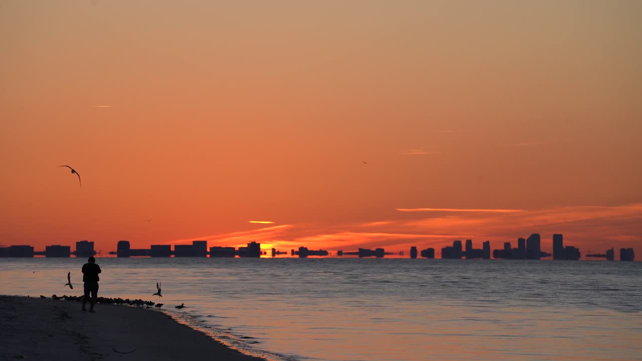 Stunning Sunset Silhouette over City Skyline