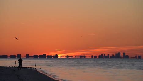 stunning sunset silhouette over city skyline