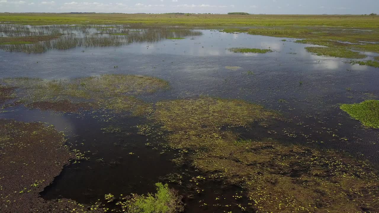 Zone umide del nord-est dell'Argentina riprese con drone