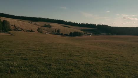 Flying-above-and-between-a-herd-of-Hucul-horses-resting-and-grazing-on-a-pasture-in-Sihla,-Central-Slovakia