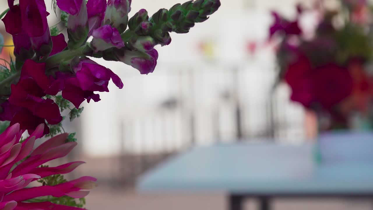 초점 배경에서 벗어난 초점 프레이밍의 꽃