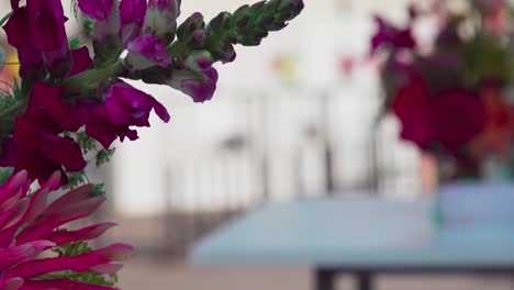 flowers in focus framing out of focus background