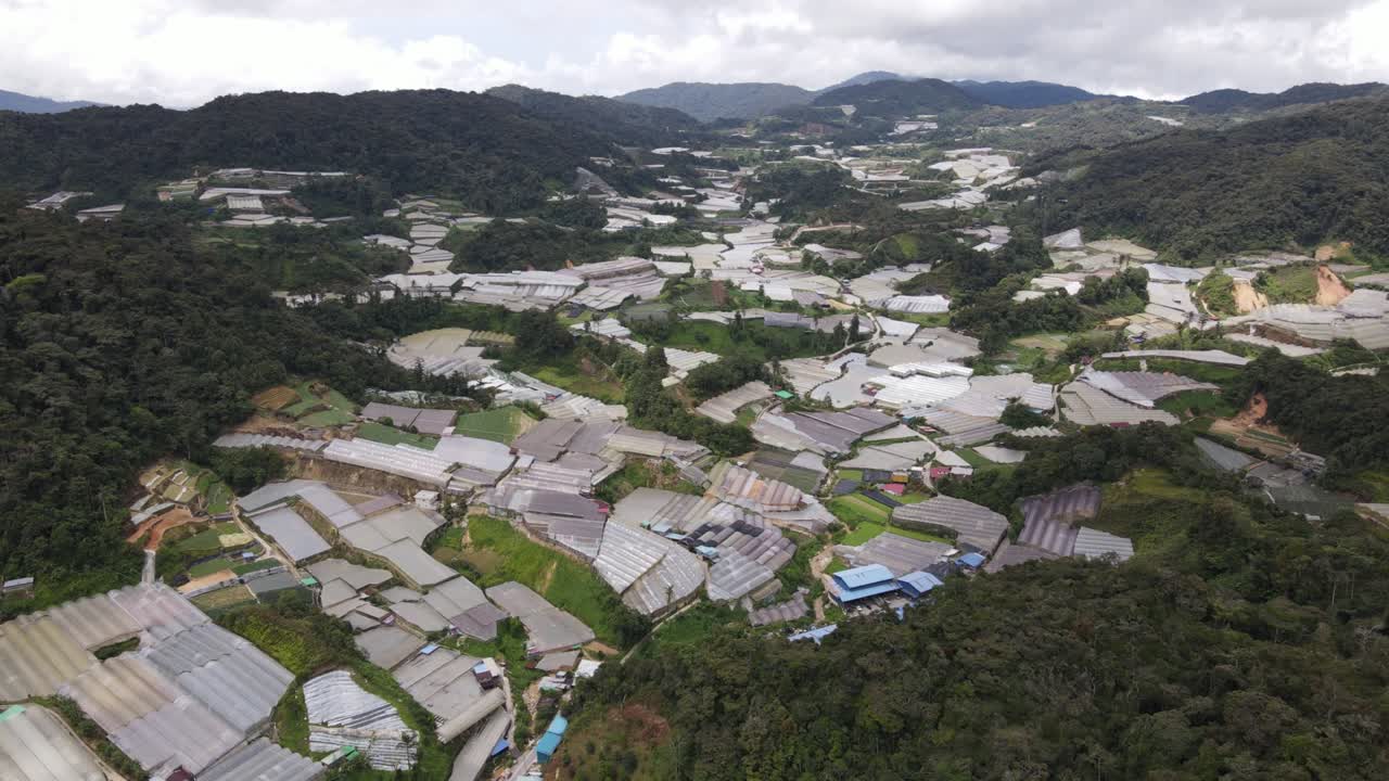 말레이시아의 카메론 하이랜드 지역 내의 브린창 지역의 일반 풍경