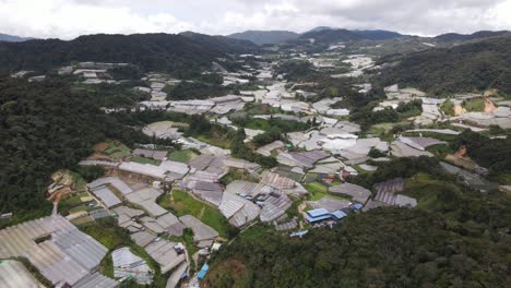 vista general del paisaje del distrito de brinchang dentro del área de cameron highlands de malasia