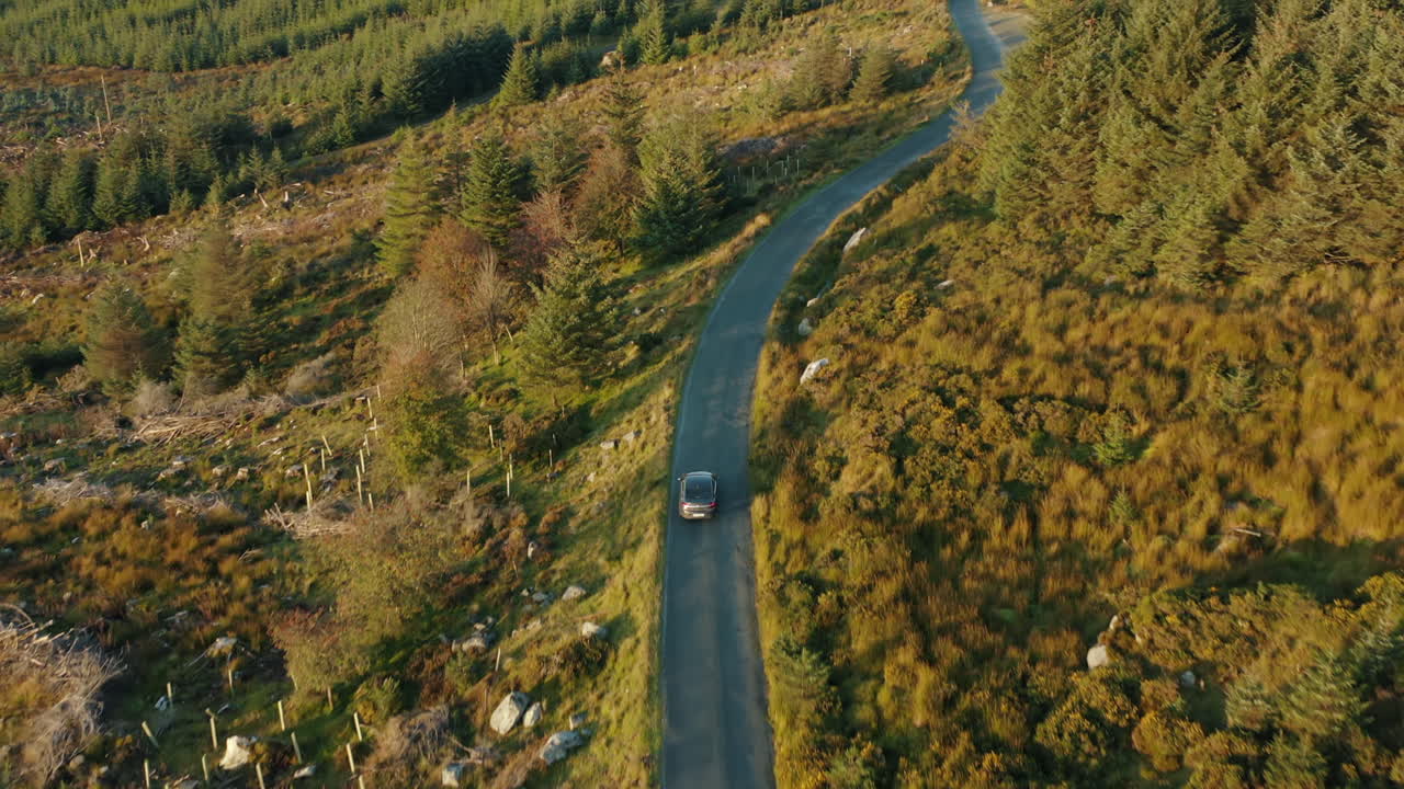 Riprese aeree che seguono un'auto su un passo di montagna attraverso un parco nazionale.