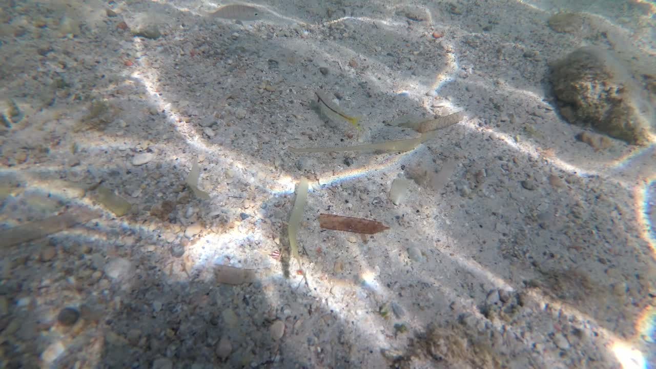 스페인, 마요르카, 칼라 산트 조르디, 이슬라 카브레라