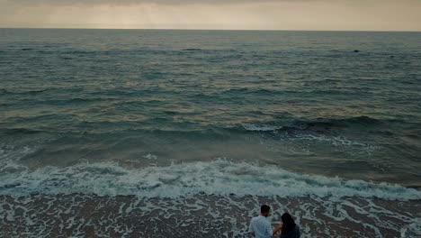 aerial view of young happy couple walking on beach with husky dog