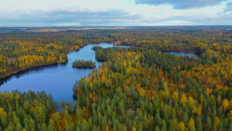 Cielo-Azul-Que-Refleja-Las-Frías-Aguas-Del-Lago-Fiskträsk-En-El-Parque-Nacional-Sipoonkorpi-En-Finlandia