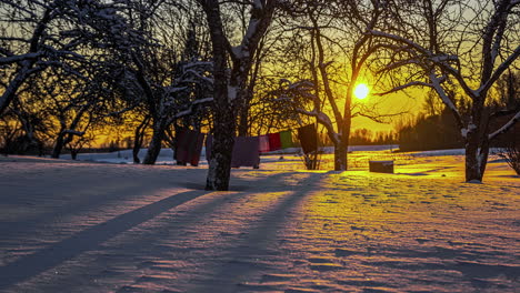 Schöner-Zeitraffer-Einer-Winterlandschaft-Mit-Der-Aufgehenden-Orangefarbenen-Sonne,-Die-Durch-Die-Bäume-Scheint