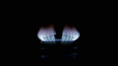 quemador de la estufa de gas