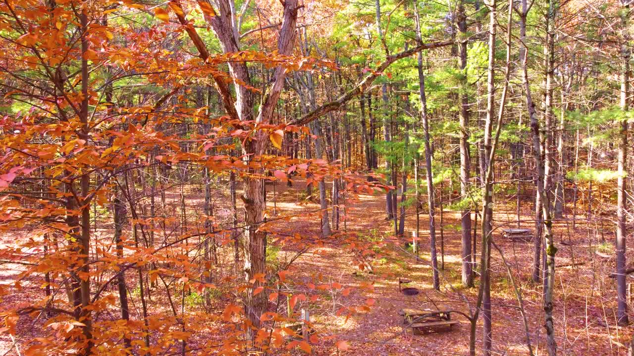 Picnic table nestled in autumn forest revealed by aerial fly-through foliage