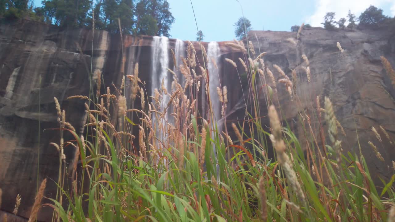 статичный снимок весеннего водопада со стеблями дикой травы, струящимися на переднем плане