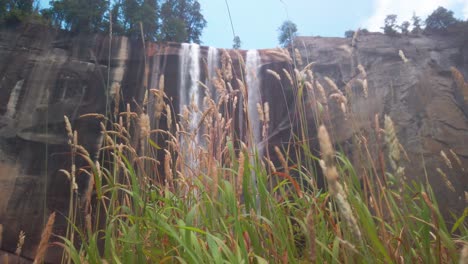 toma estática de cataratas primaverales con tallos de hierba silvestre que fluyen en primer plano