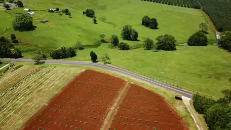 aerial view of a red soil field