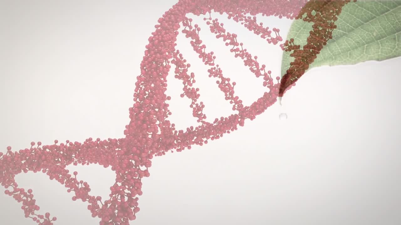 animación de la cadena de adn sobre la hoja