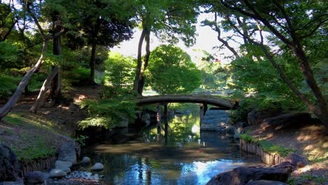 la hermosa vista en los jardines de rikugien