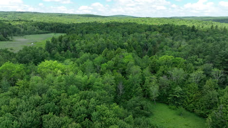 forest and mountain valley in eastern ny