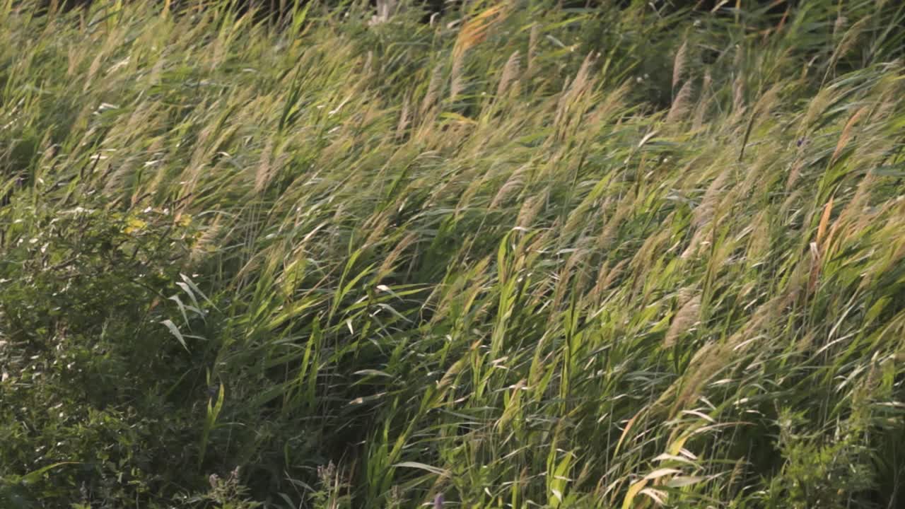 Marvelous aerial view on Croatian sea landscape and Mediterranean coastline