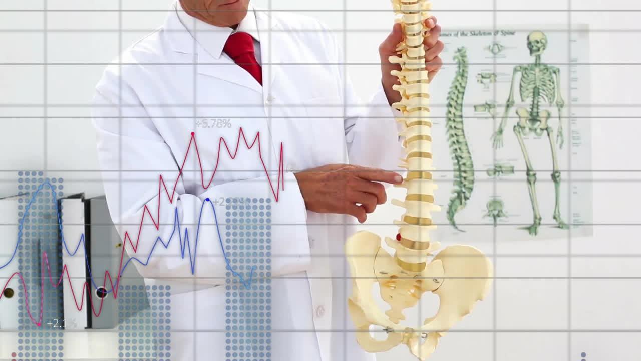 척추에 대해 가르치는 백인 남성 의사에 대한 데이터를 처리하는 그래프의 애니메이션