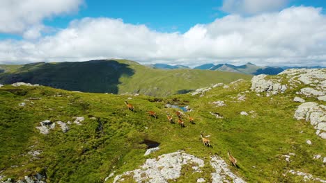 scotland, united kingdom