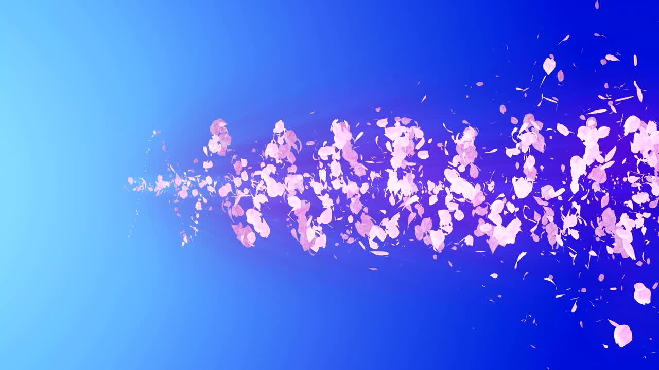 꽃의 나선형 반이는 입자, 사쿠라 패턴, 일본의 꽃 춤, 분홍색 꽃잎의 소용돌이, 추상적인 루프 애니메이션.