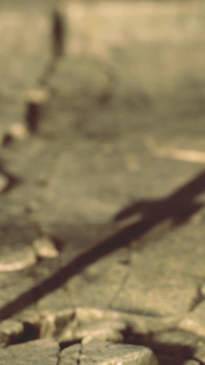 Shadow cast on rocky surface during bright daylight in natural setting