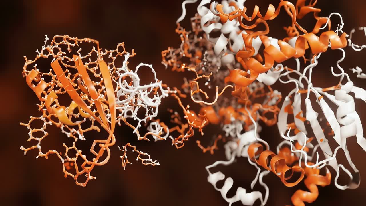Macromolécula de proteína alterando conformação com estrutura de fita laranja e branca girando no espaço 3D.