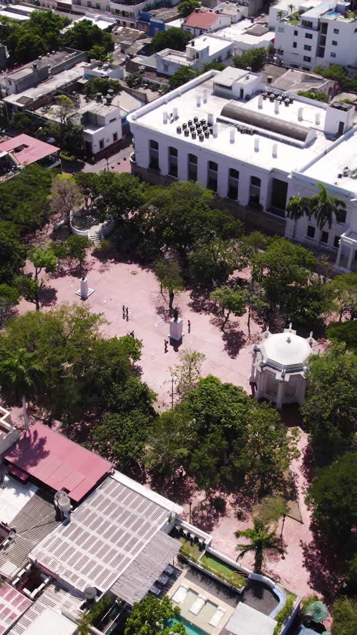 Los Novios Park with its lush trees and statues, featuring the prominent Gold Museum building in Santa Marta, Colombia. Aerial, Vertical Video