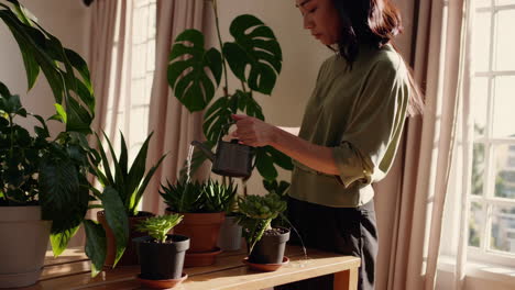 mujer regando plantas de interior
